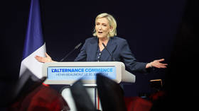 ‘Putin endorsed Le Pen’: Russiagate comes to France